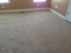 Guest Bedroom Carpet