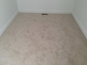 Master Bedroom Closet Carpet