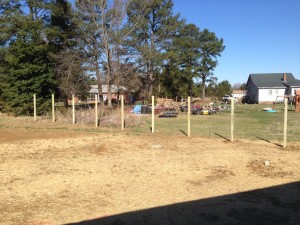 Fence posts installed on Monday, 3/24.  Fence installed on 3/26 - picture of that to come later.  Is your eye keen enough to discern why we wanted a fence?